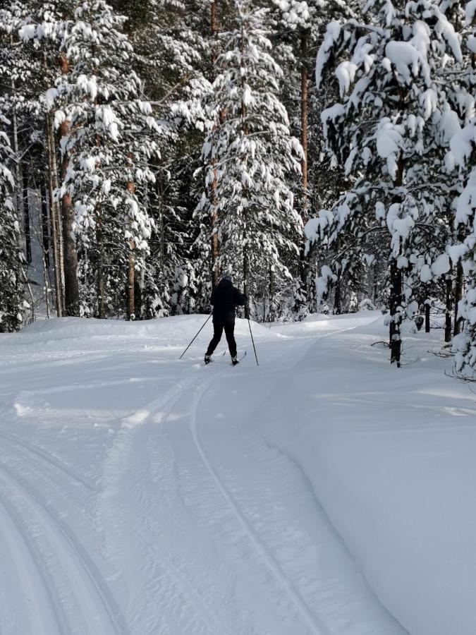 Vidsel Nordic Character旅馆 外观 照片